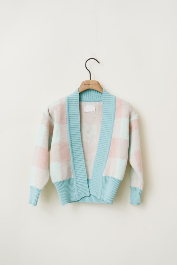Checked Cardigan in Mint and Pink